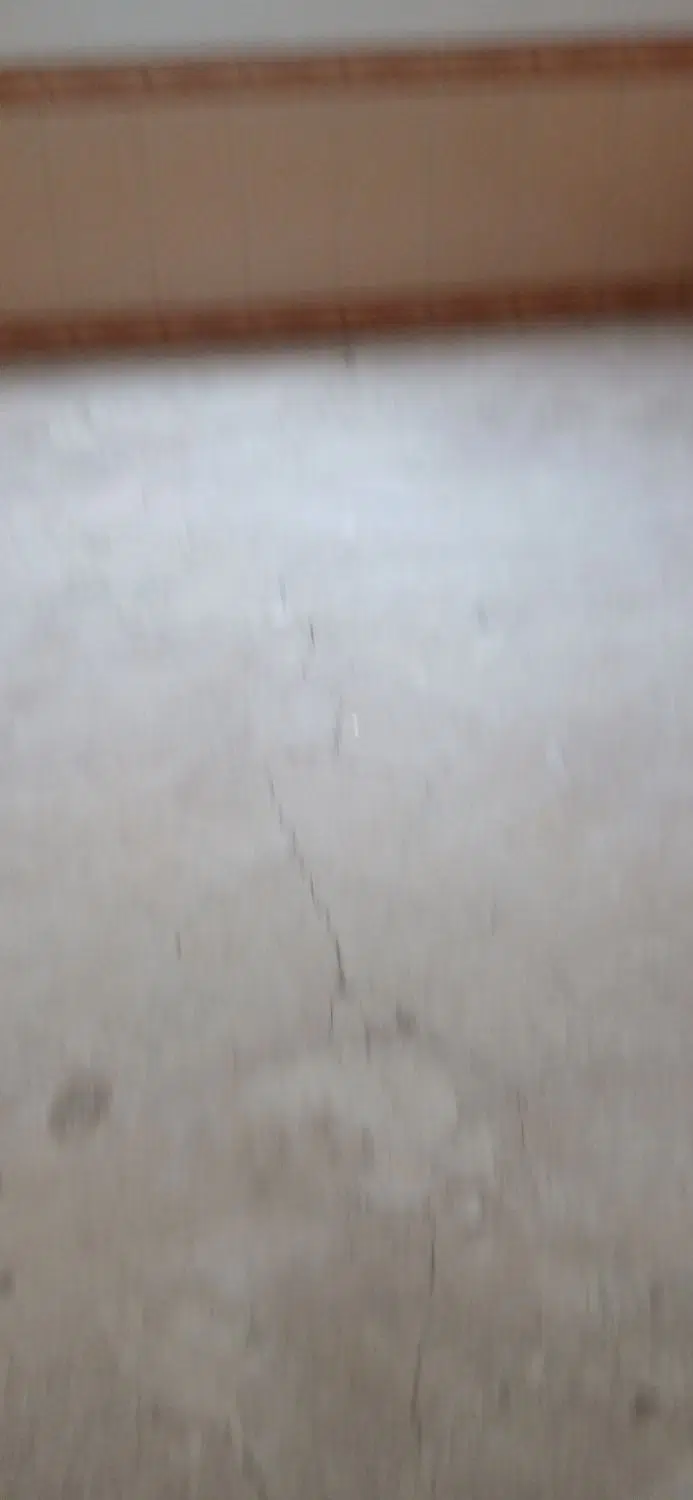 اجاره خانه