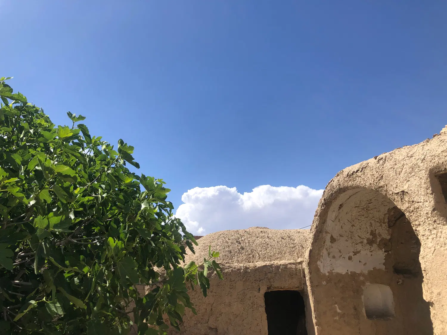 فروش خانه روستایی (مایان)۳۶۶ متر