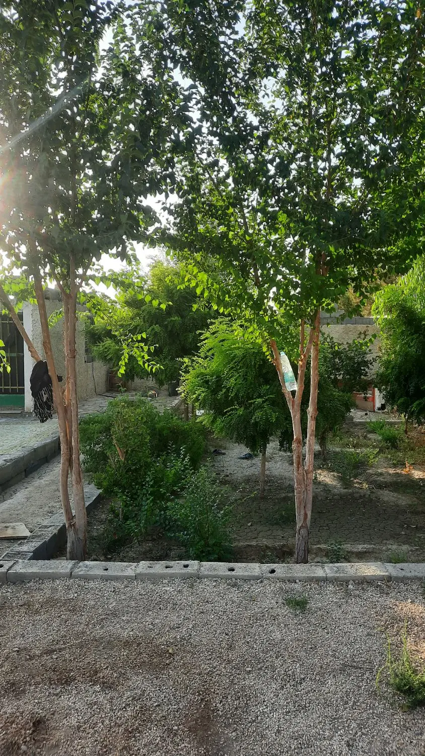 باغ۶۰۰ متری اخر حیدراباد دشتی
