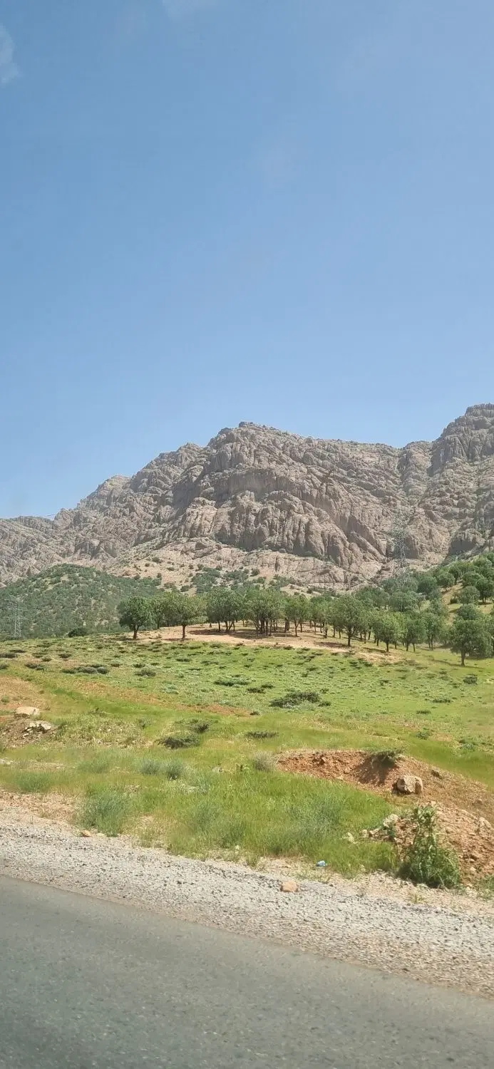 فروش یک هکتار زمین کشاورزی