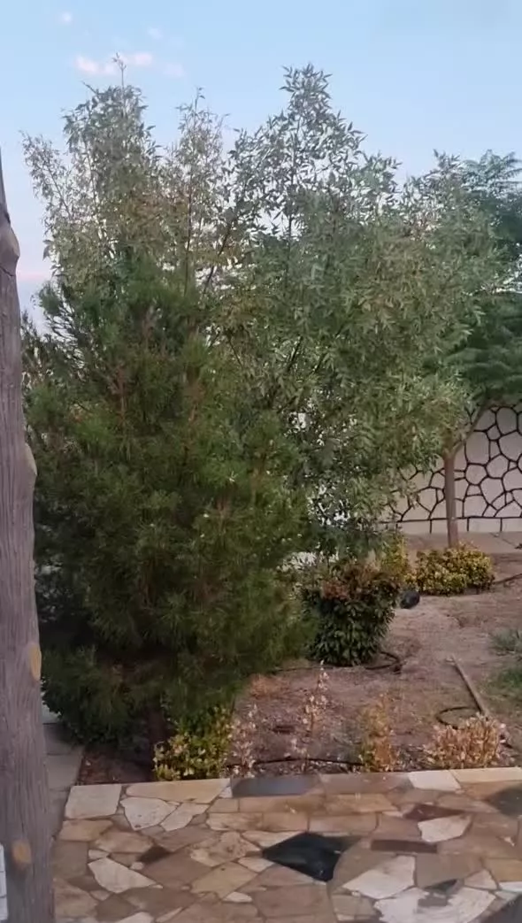 باغ هرمزآباد