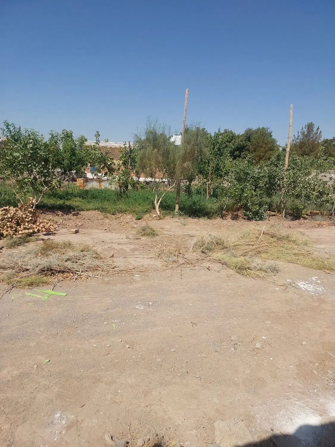 باغ ویلایی کنار باشگاه مس