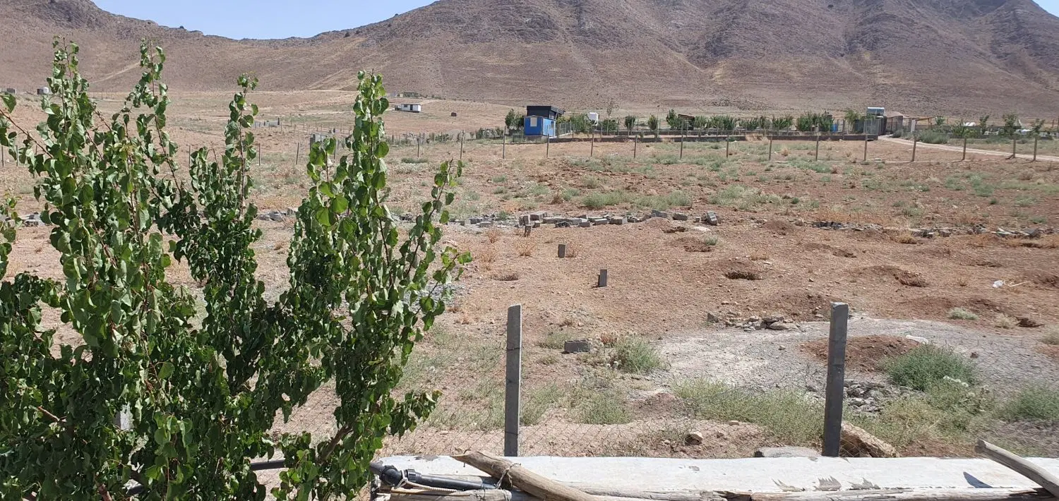 زمین و باغ