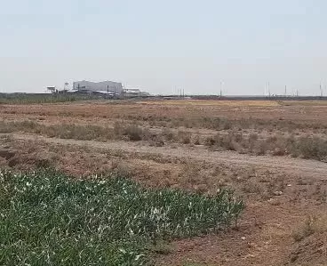 زمین هکتاری با مجوز نیروگاه خورشیدی