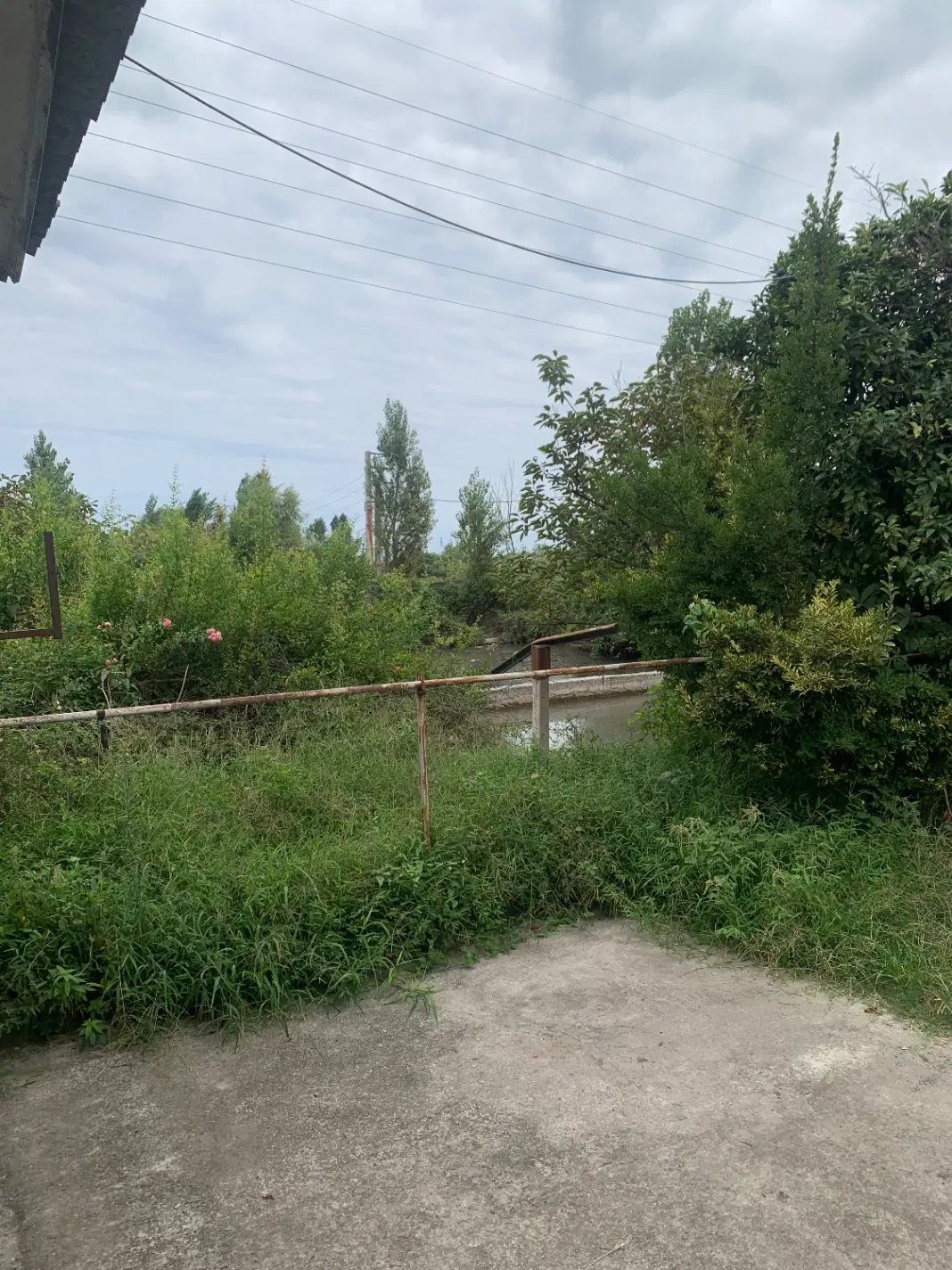 ۱۲۰۰ متر ویلای نزدیک به ساحل در همت آباد شیرود