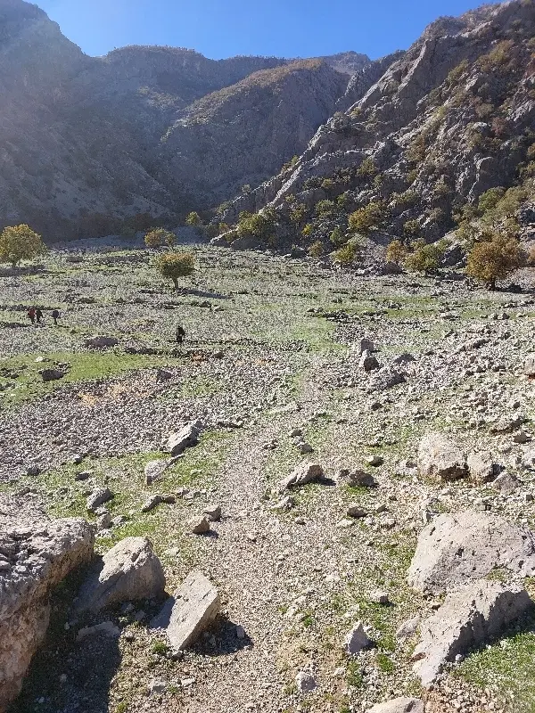 زمین ، جاده تالارها