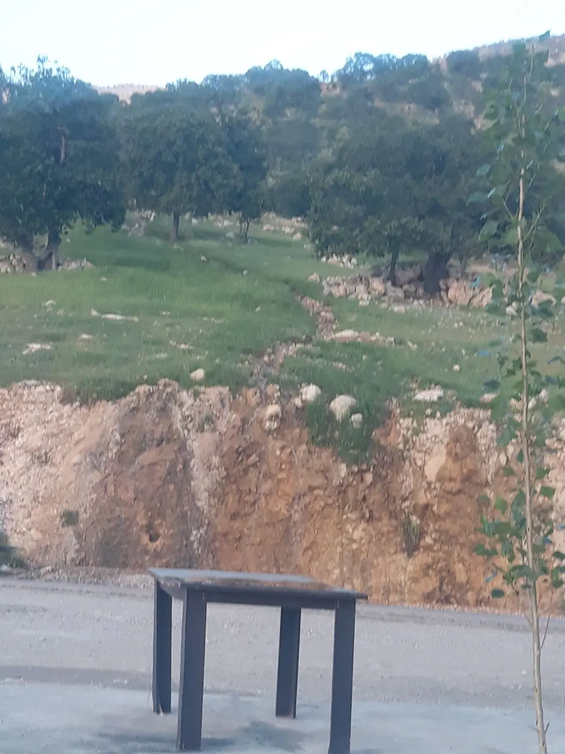ملک دریاسوج