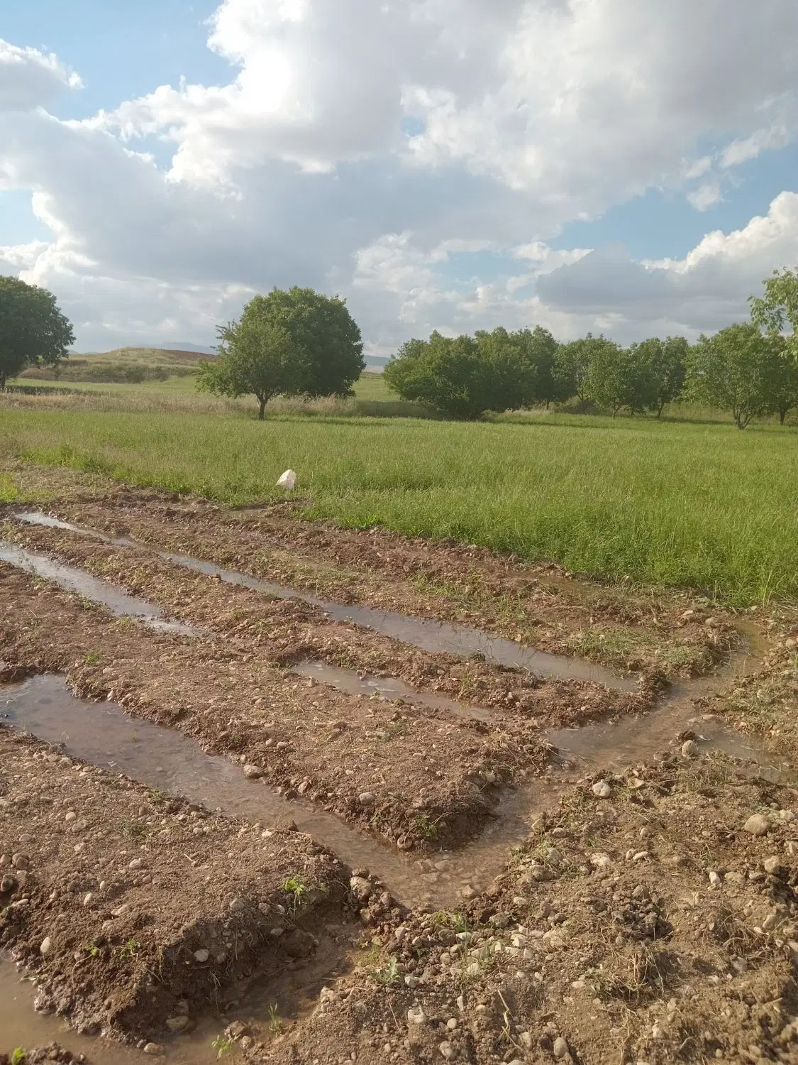 زمین های فاطمیه فروشی
