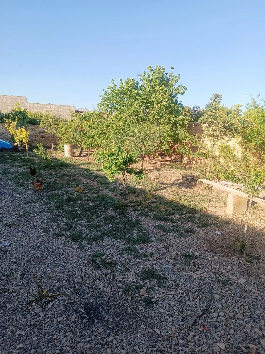 زمین چهاردیواری
