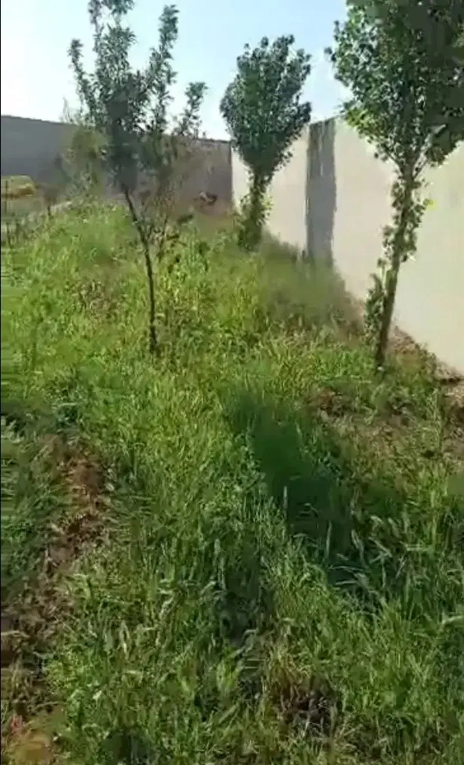 چاردیواری سند دار اول چهارباغ