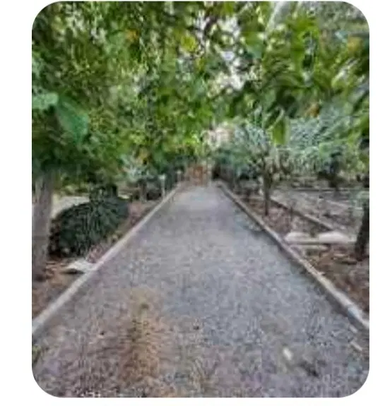 فروش باغ
