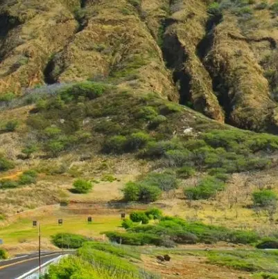 زمین کشاورزی مشاع