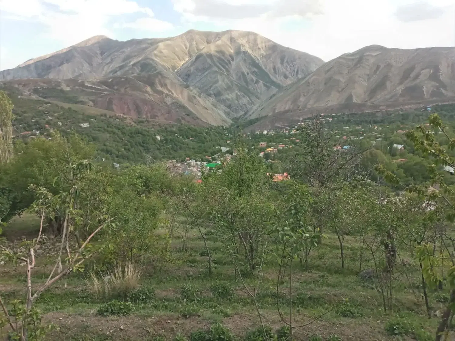 ۶۴۸ متر زمین امامه بالا