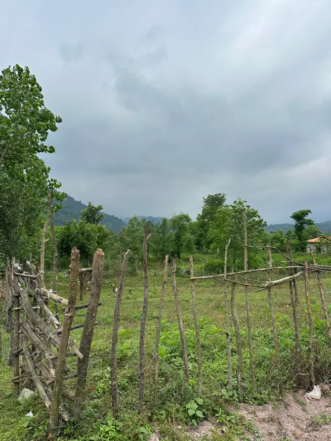 ۷۵۰متر زمین مسکونی تکه ای از بهشت تو بهترین لوکیشن