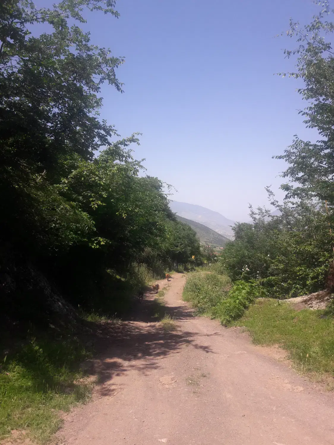 فروش زمین مسکونی طویر، چالوس (۲۰۰ تا ۱۰۰۰متر)