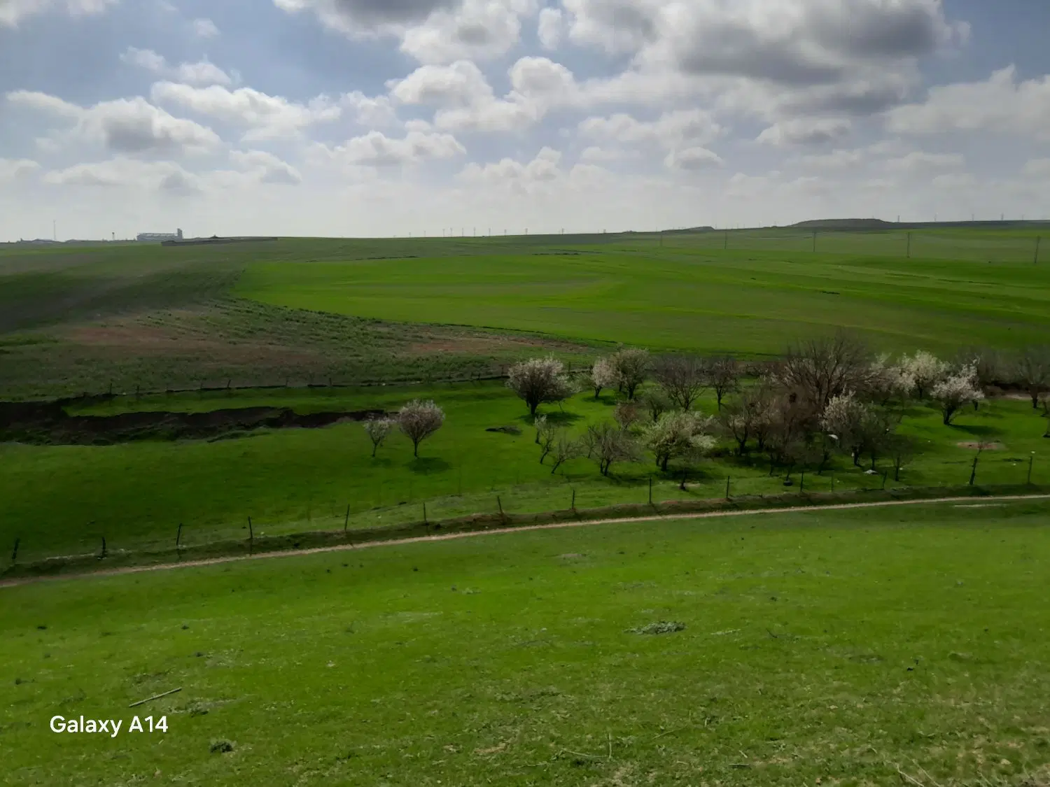 زمین