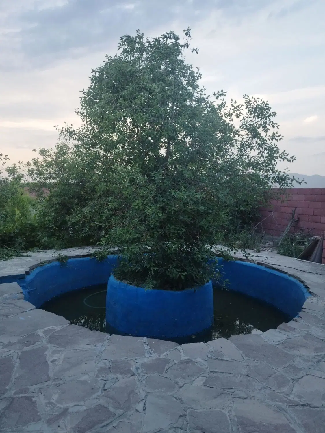 فروش باغ درروستای گلم