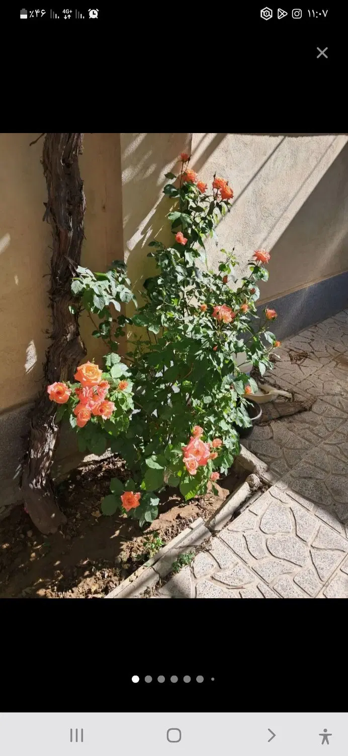دوطبقه شهرک مدنی