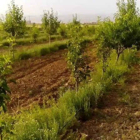 زمین شهرکی با موقعیت مناسب