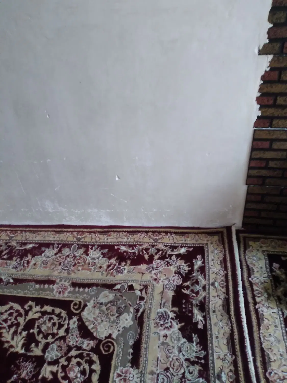 اجاره حیاط ۵۰ متر