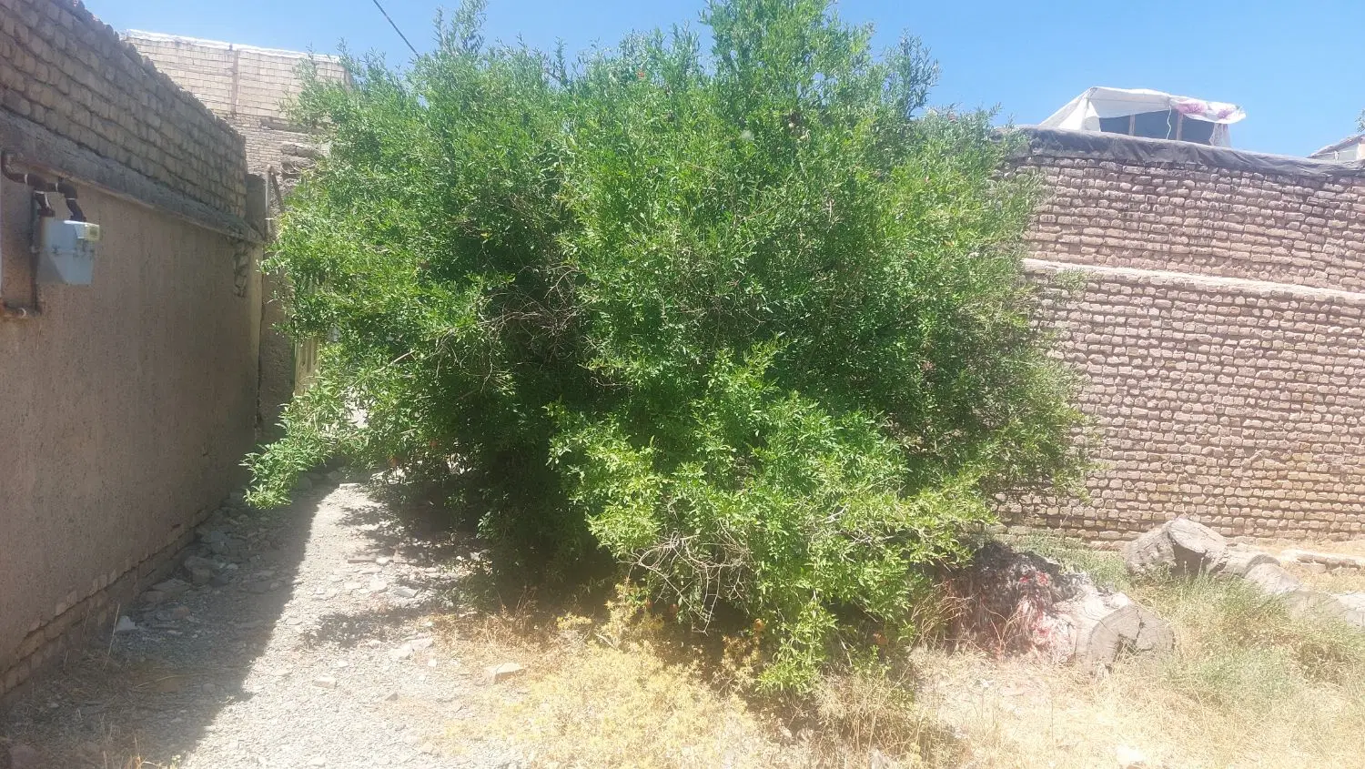 زمین فروشی
