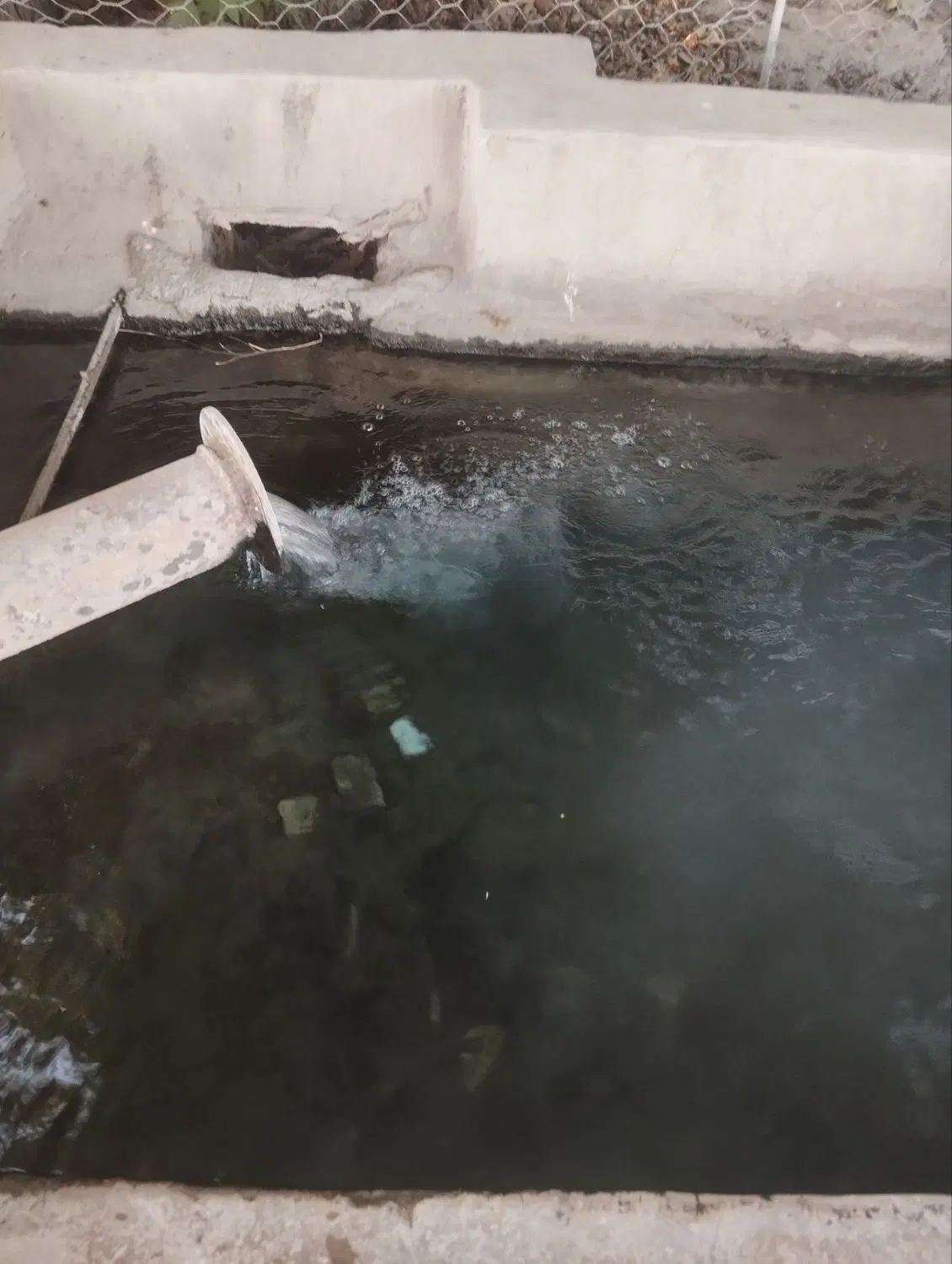 باغ ملکی