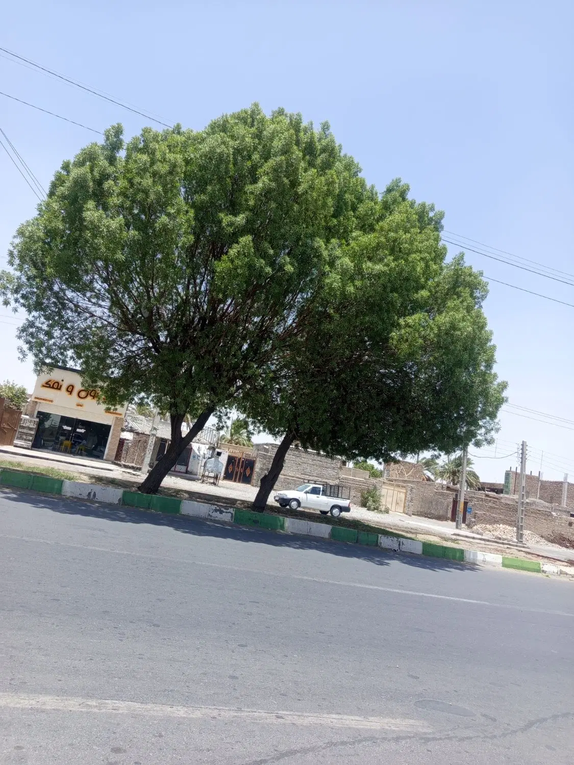 زمین کشاورزی جلگه 43هکتار
