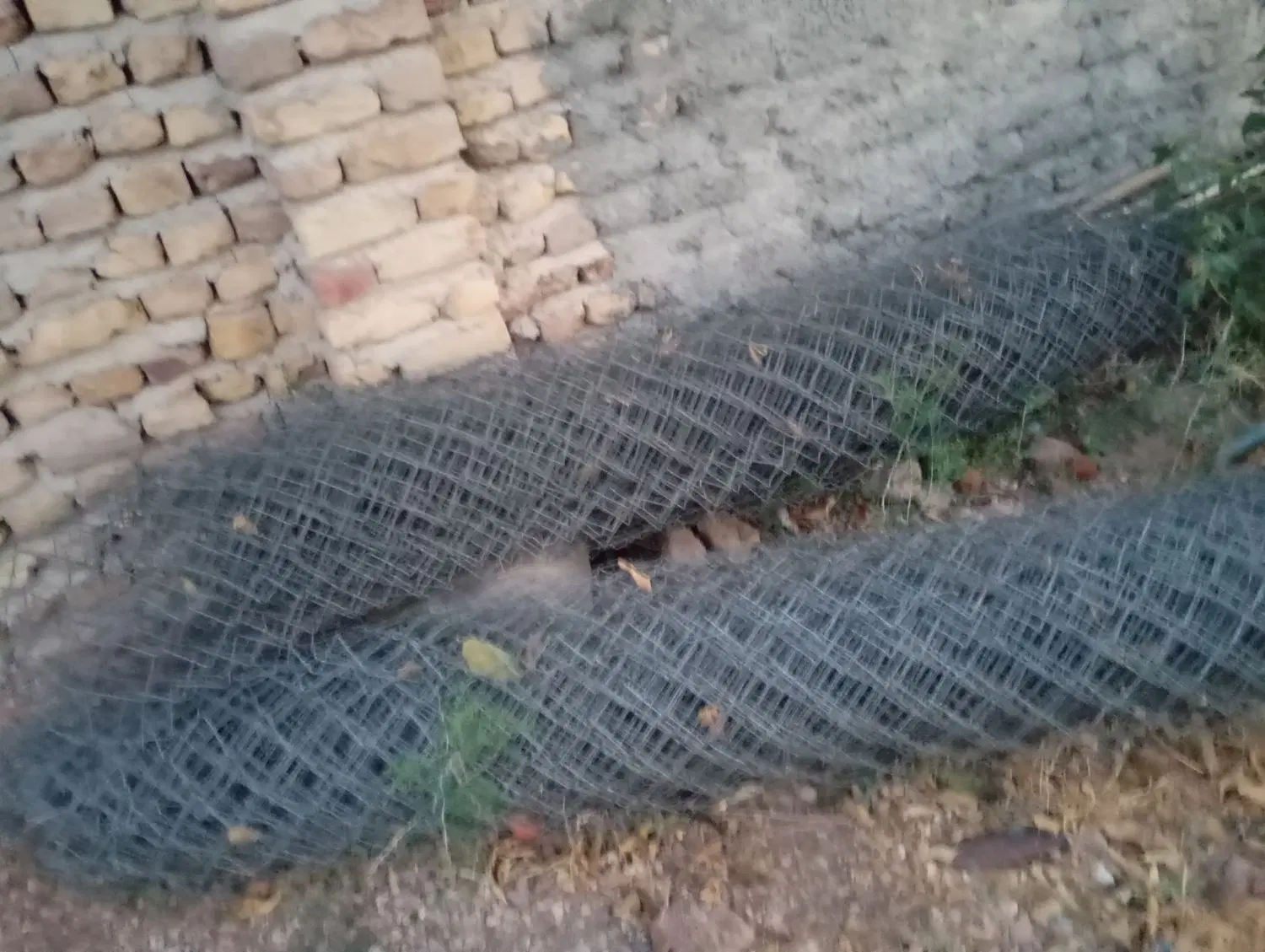زمین باغ شهری