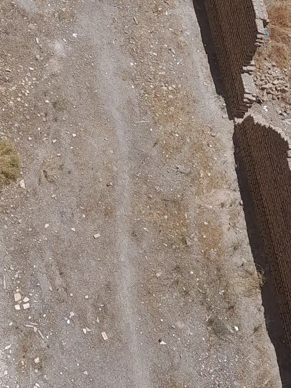 زمین ۵۰۰ متری طرقبه
