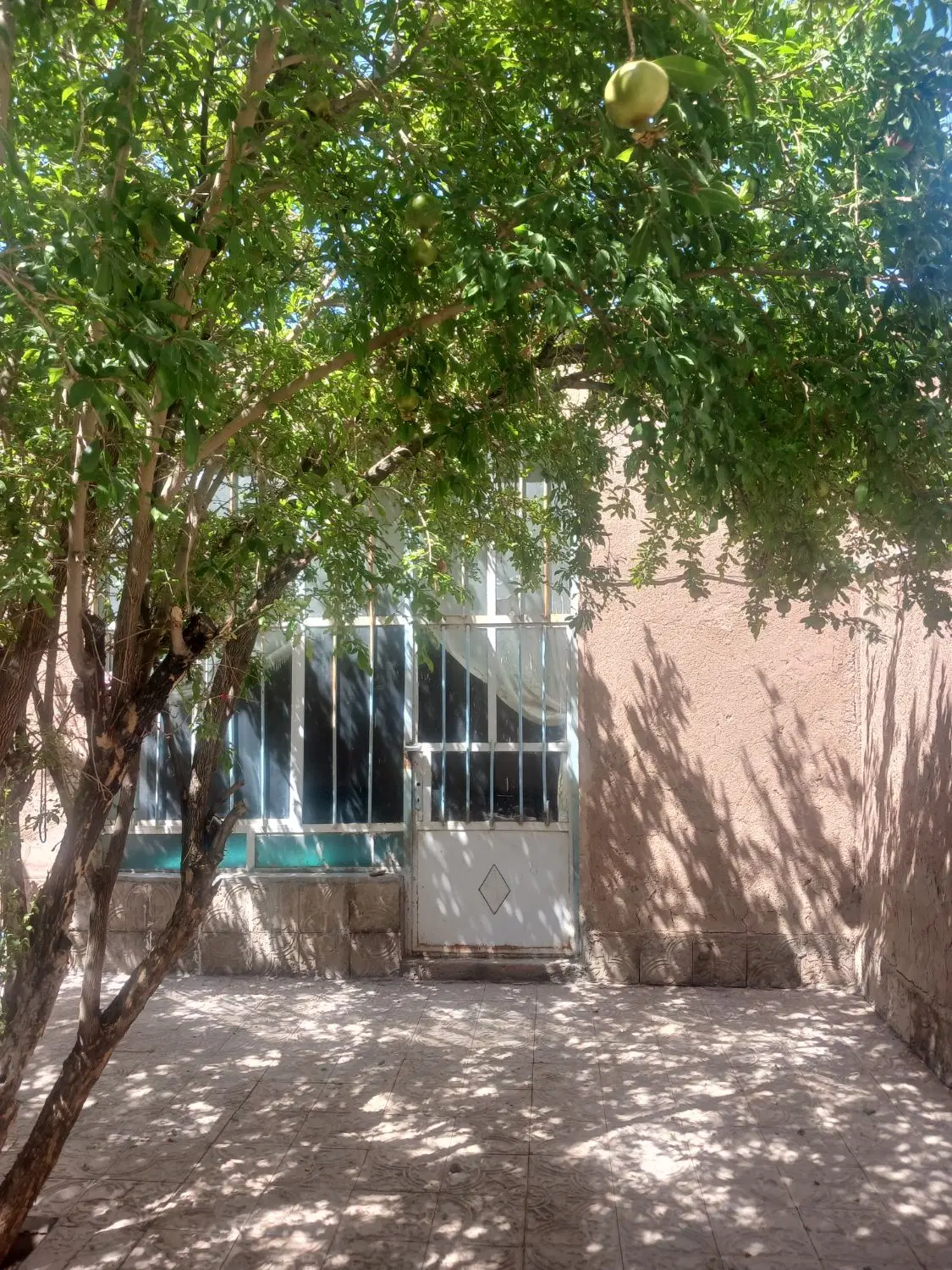 فرورش خانه گنبدی راین