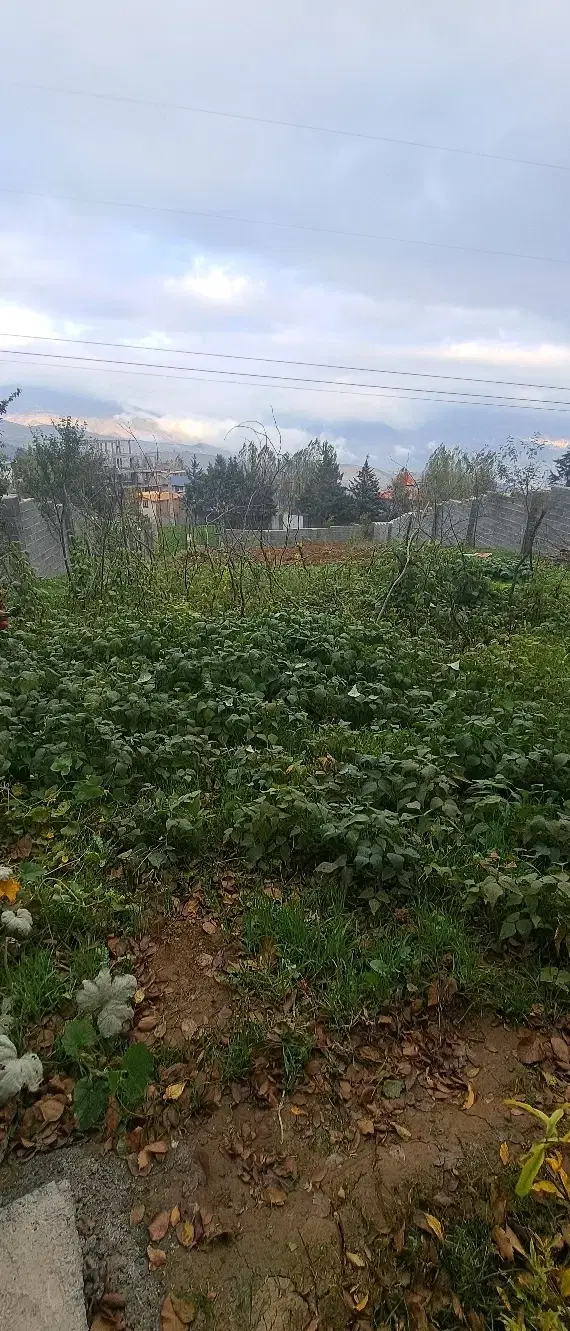 زمین 500 متری کلاردشت