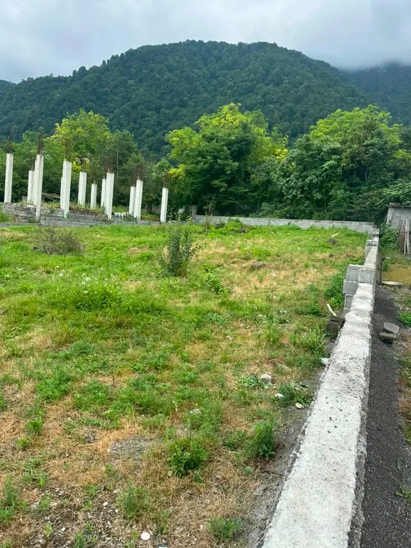 ۶۵۴ زمین جنگلی داخل مجتمع سنددار