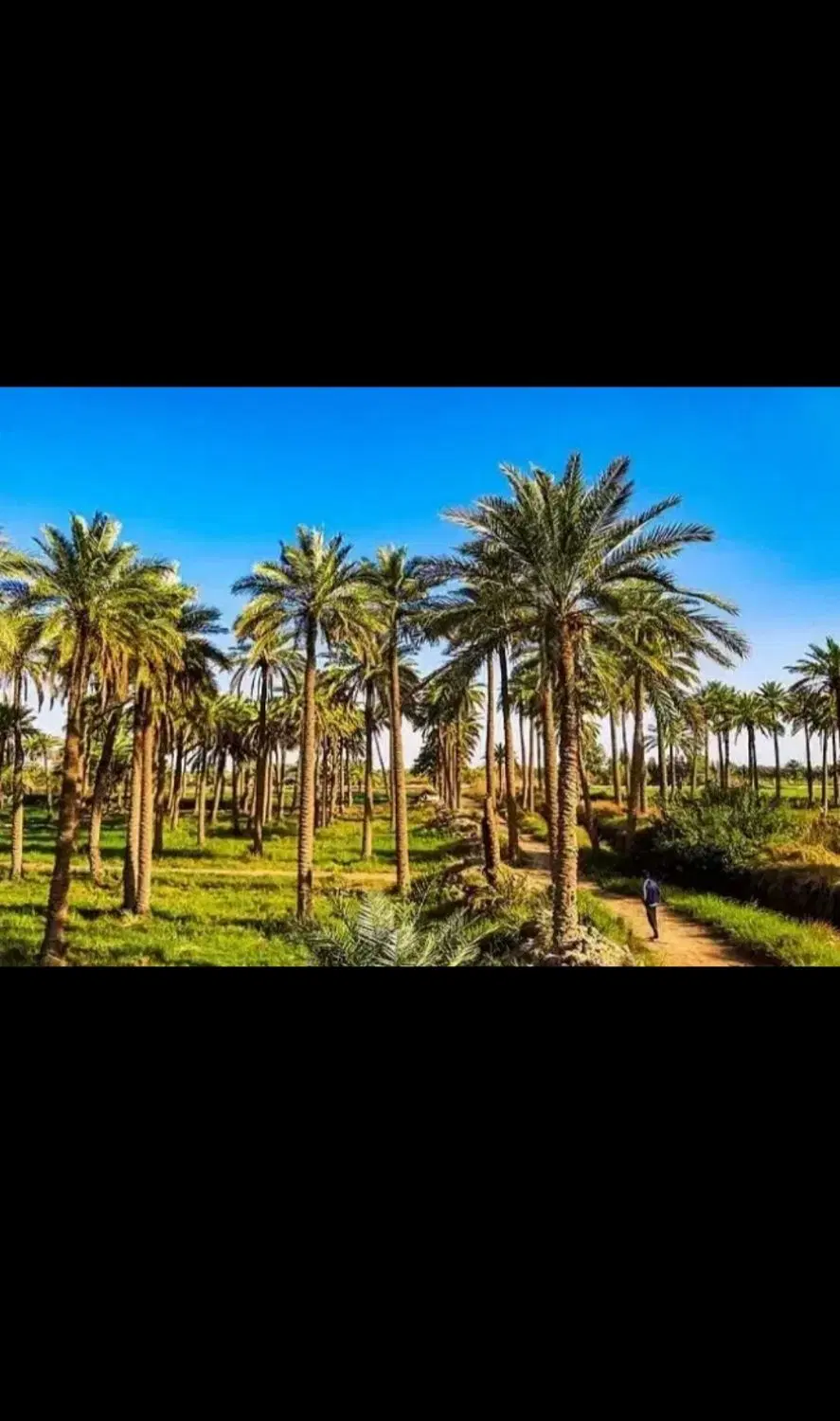 فروش قطعات ۲۰۰ متری در مینوشهر