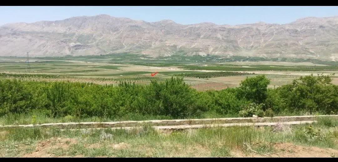 فروش زمین در روستای حمزه خانی کاکان یاسوچ