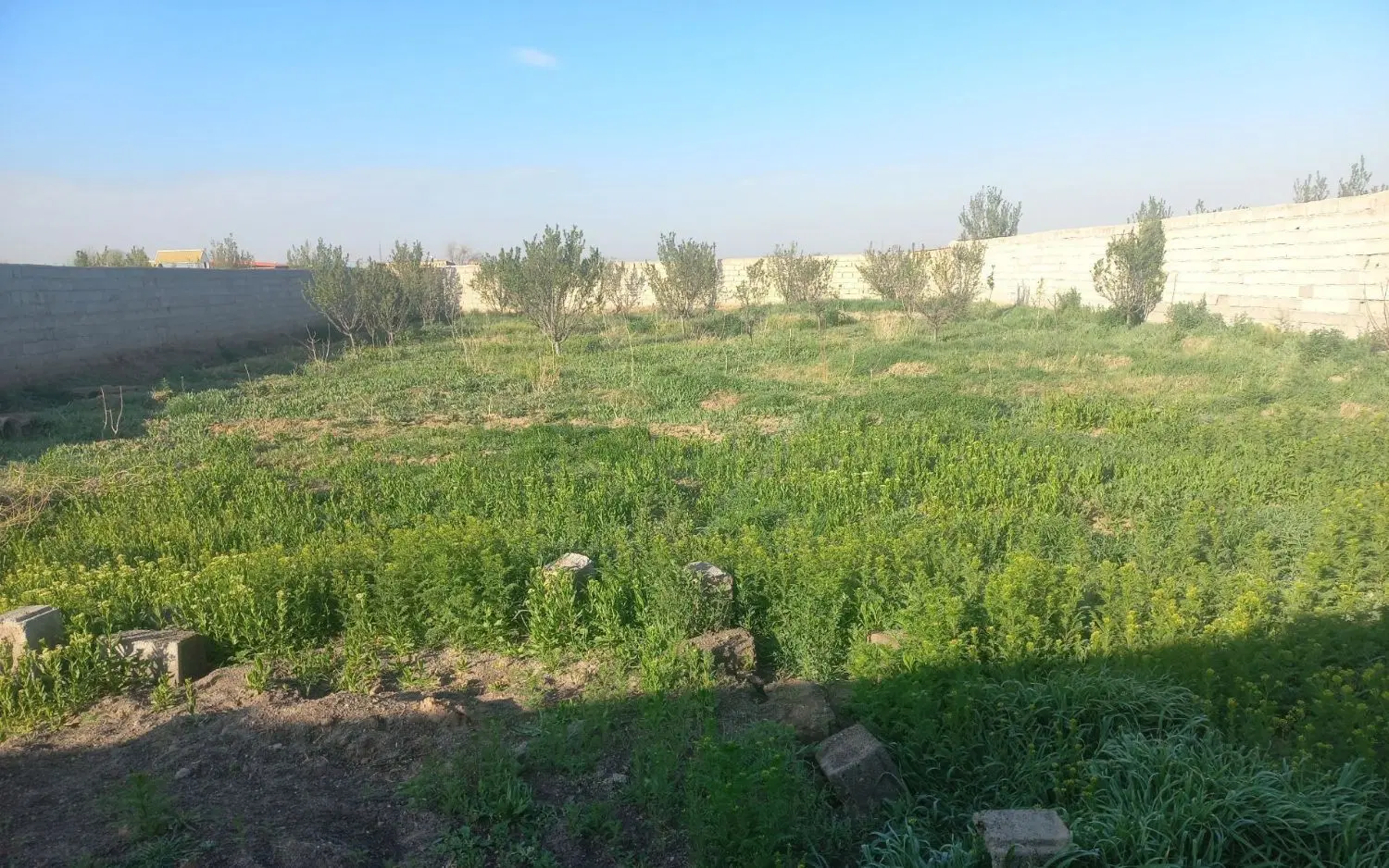 باغ در قره تپه