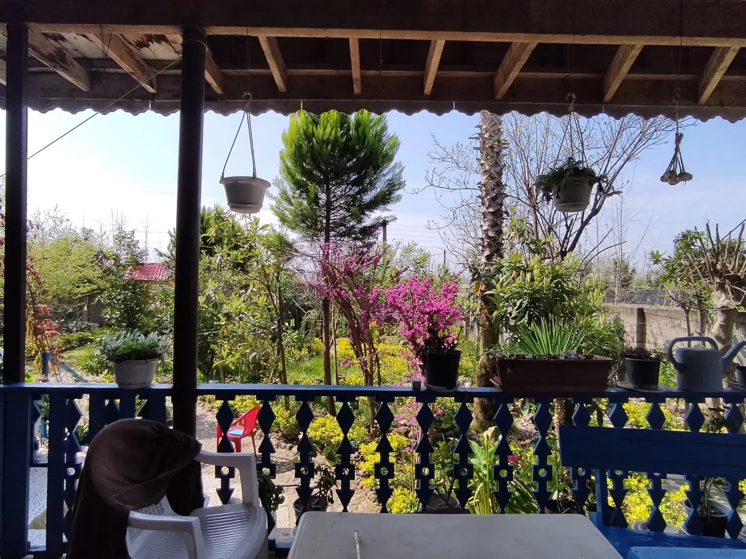 باغ ویلا ۱۰۰۰ متری لاهیجان