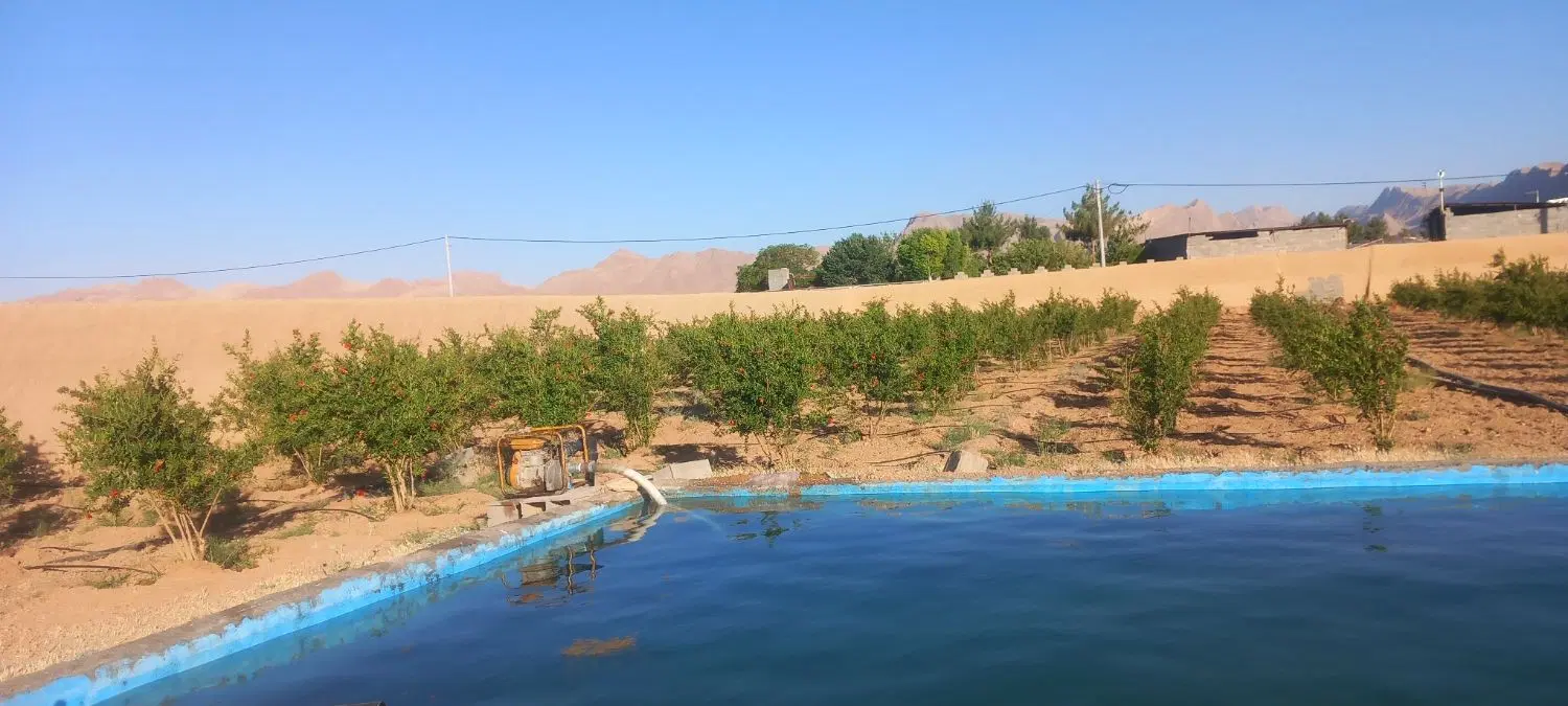 باغ سروستان شریف اباد