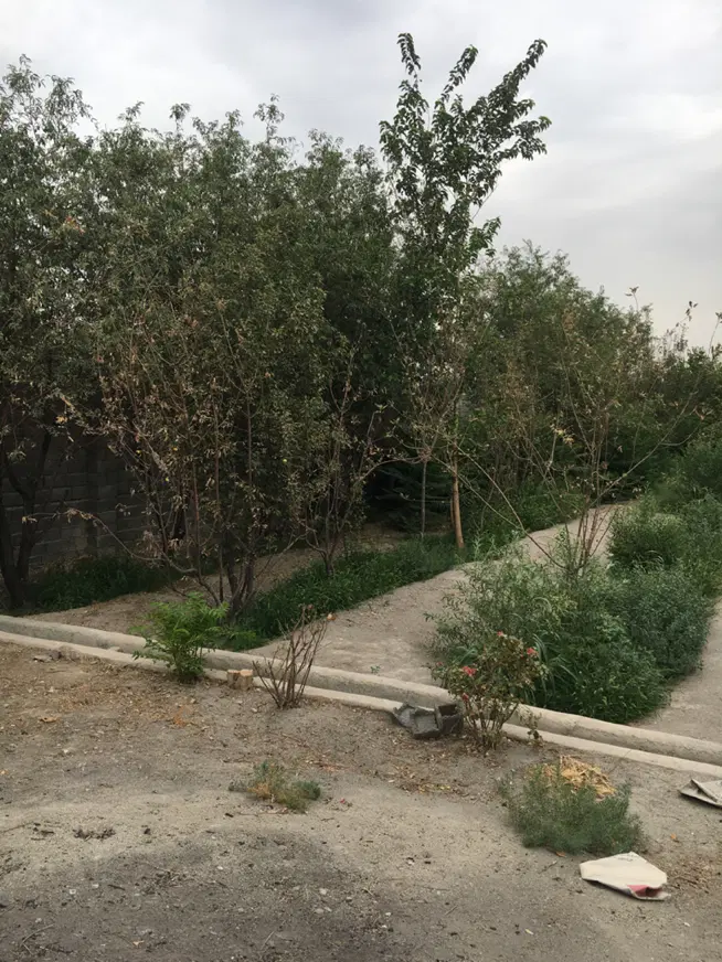 زمین باغی لوکیشن عالی