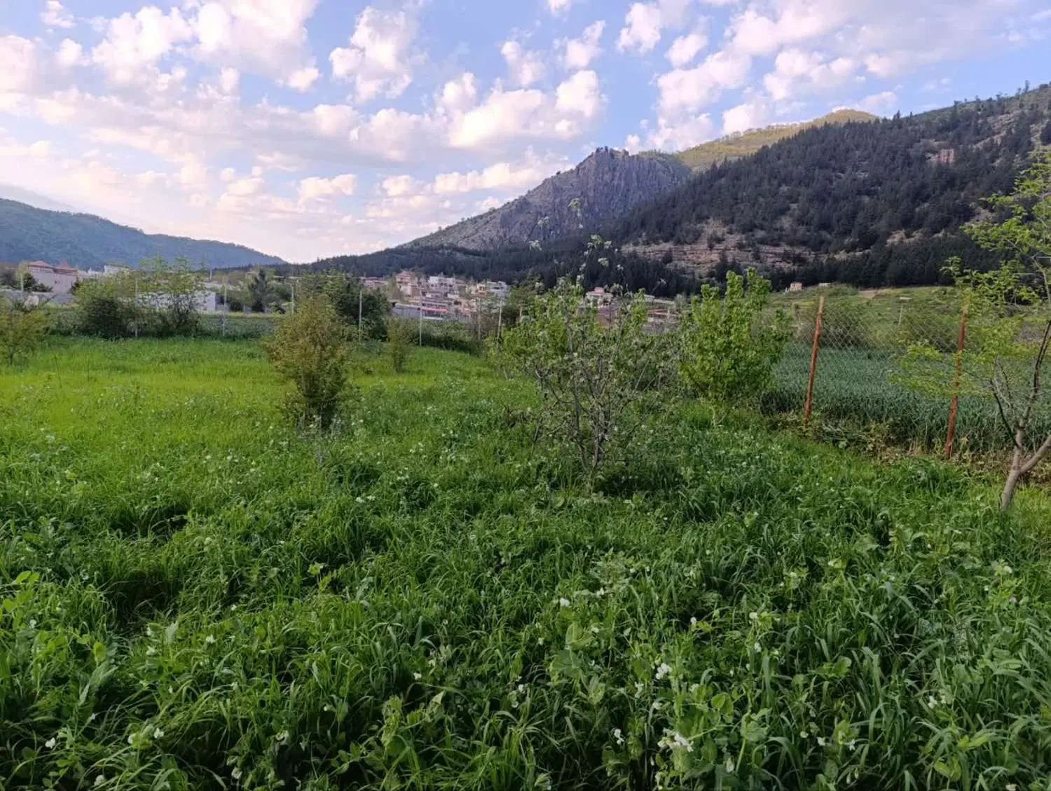 500 متر باغ واقع در باقر اباد رامیان گلستان
