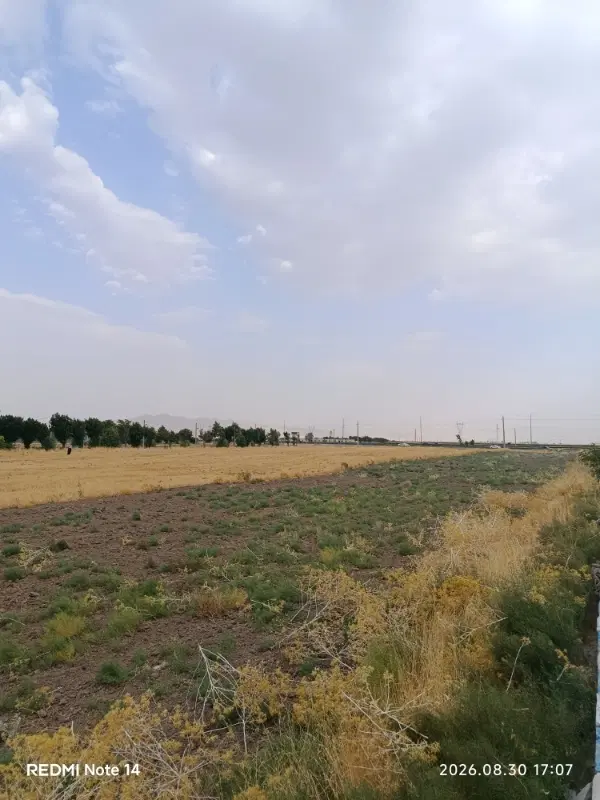 زمین کشاورزی ماهیدشت