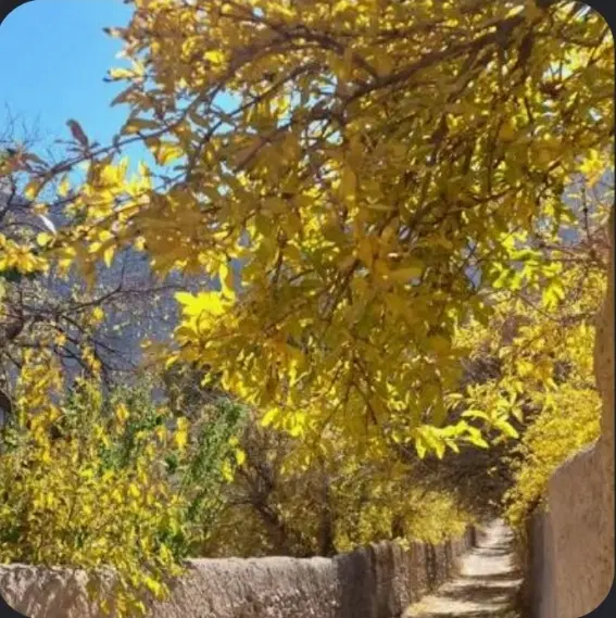 فروش خانه باغ تفت (خراشه)