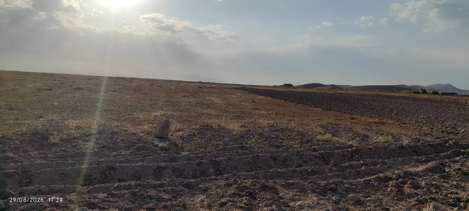 زمین دیمی در روستای سامیان