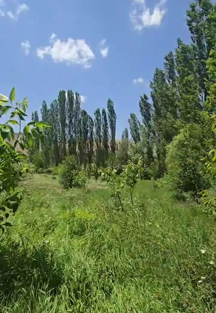زمین باغی در فیروزکوه شهر ارجمند