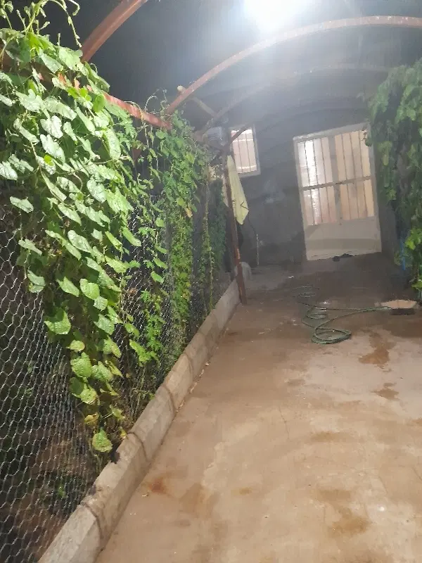 سوییت کوچک