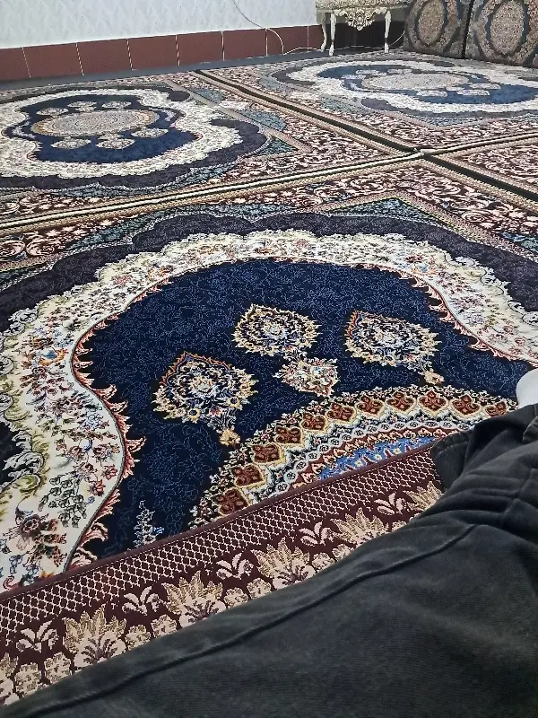 اجاره خانه نایسر