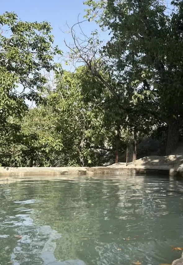 زمین مزروعی نزدیک به طرح