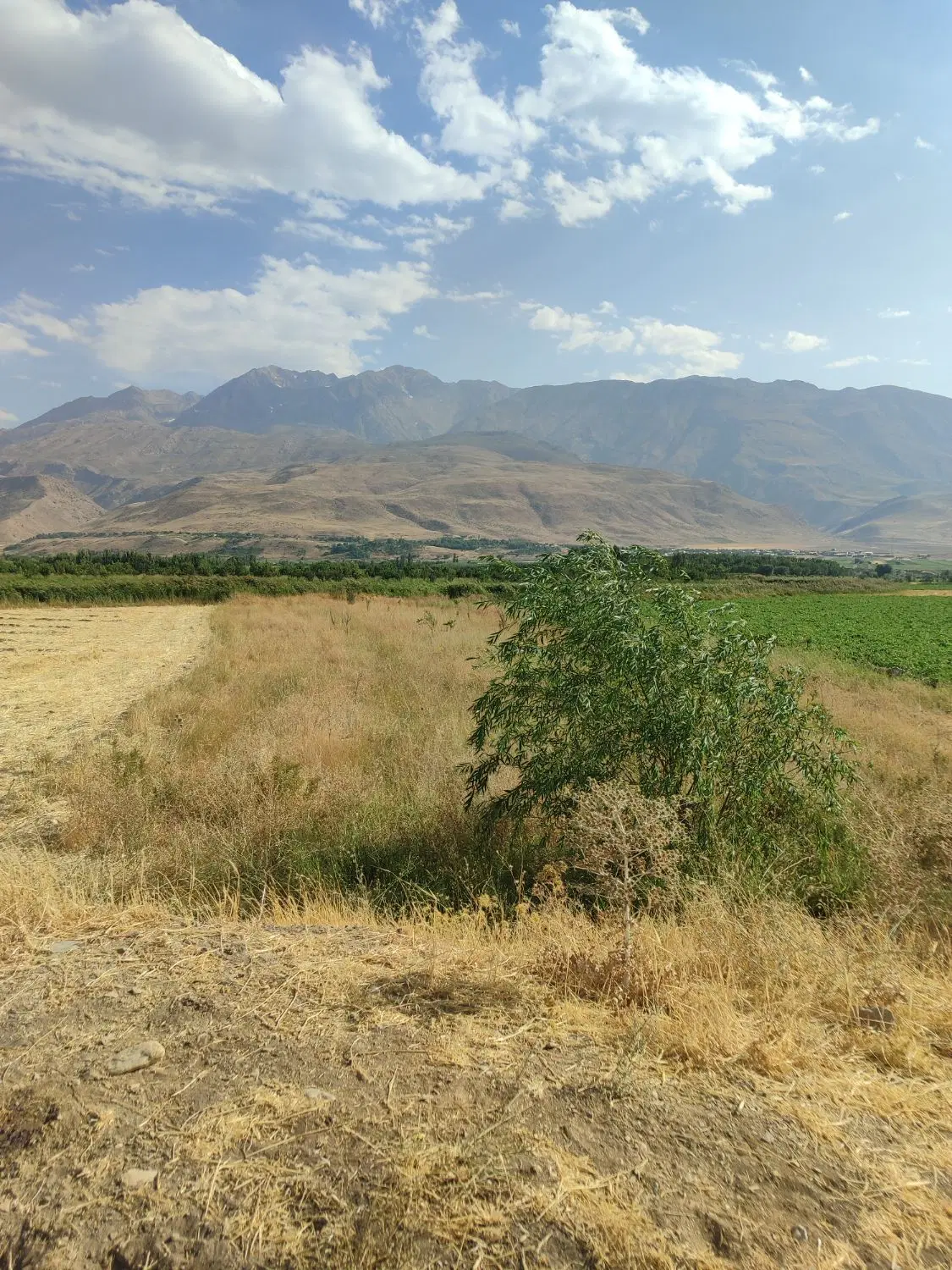 زمین با آب فراوان در روستای دربند