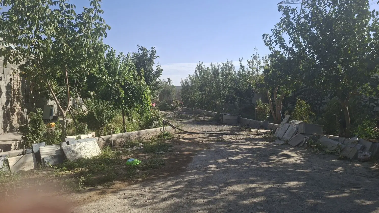 باغچه
