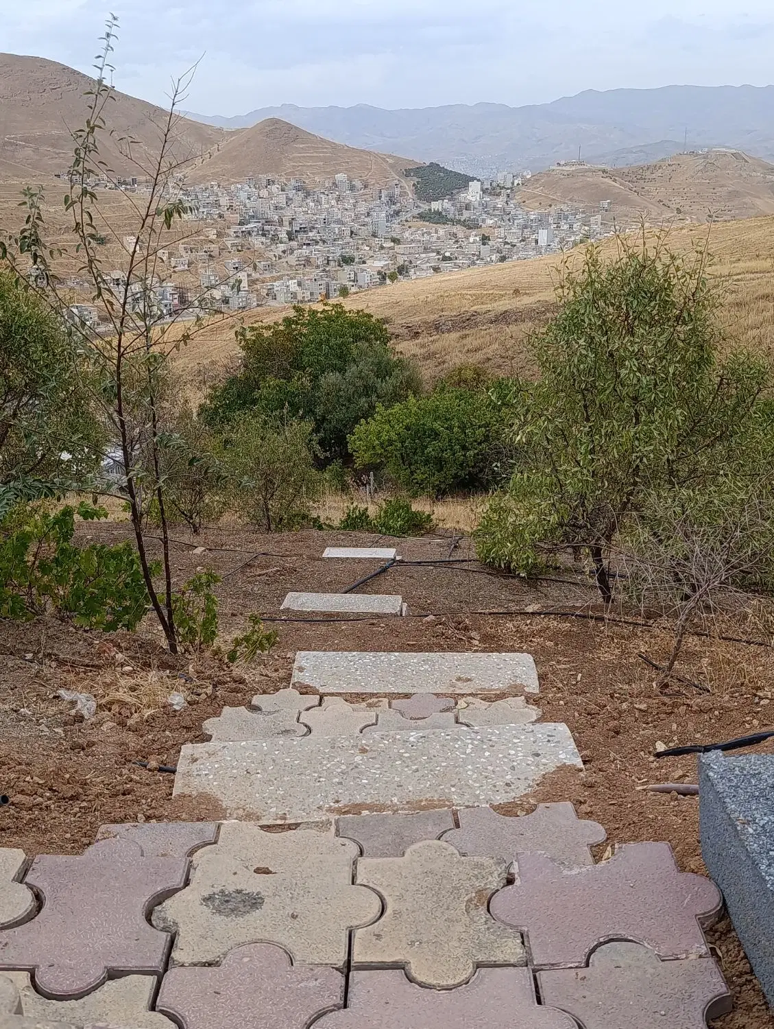 باغ زمین حسن آباد