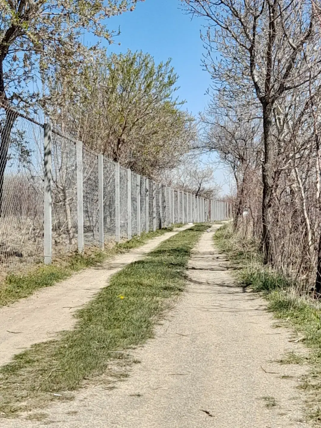 زمین ویلایی